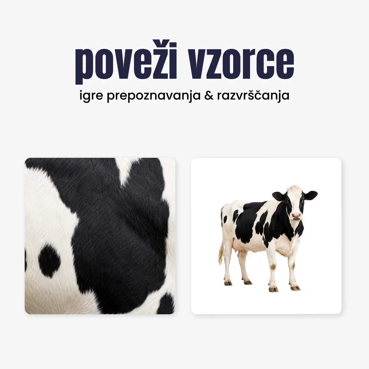 Poveži vzorce